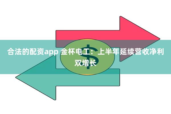 合法的配资app 金杯电工：上半年延续营收净利双增长