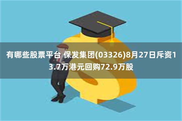 有哪些股票平台 保发集团(03326)8月27日斥资13.7万港元回购72.9万股