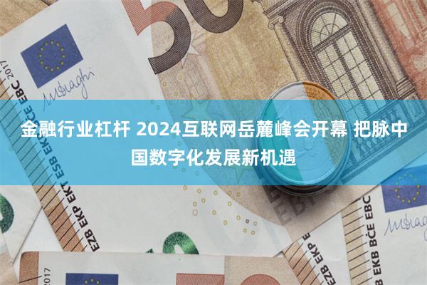 金融行业杠杆 2024互联网岳麓峰会开幕 把脉中国数字化发展新机遇