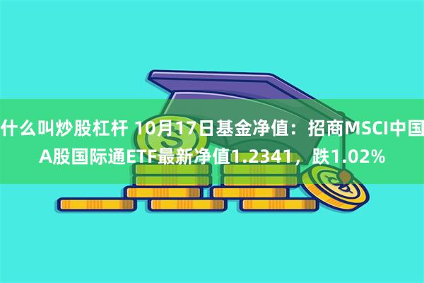 什么叫炒股杠杆 10月17日基金净值：招商MSCI中国A股国际通ETF最新净值1.2341，跌1.02%