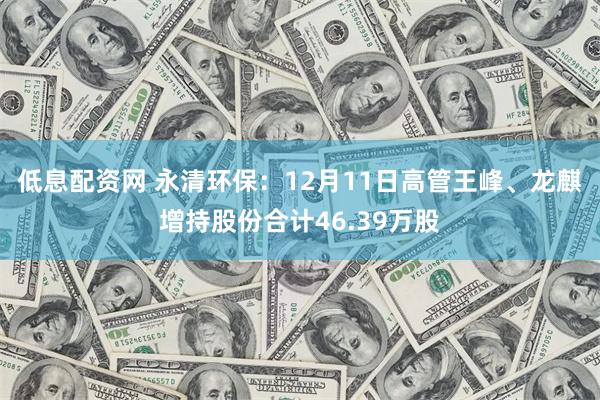 低息配资网 永清环保：12月11日高管王峰、龙麒增持股份合计46.39万股