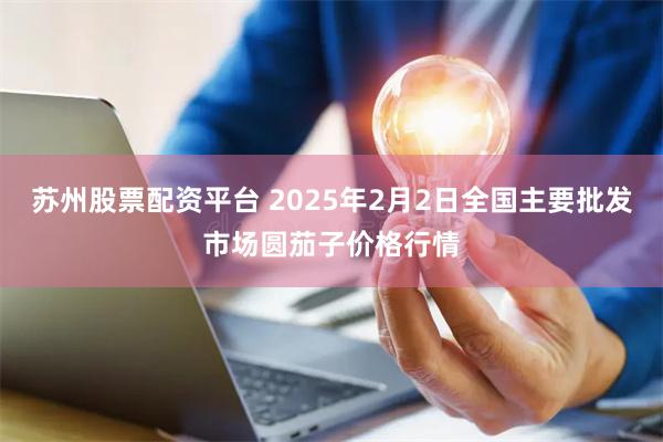 苏州股票配资平台 2025年2月2日全国主要批发市场圆茄子价格行情