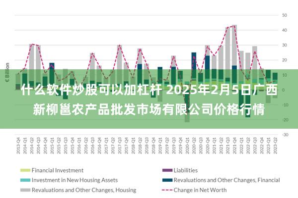 什么软件炒股可以加杠杆 2025年2月5日广西新柳邕农产品批发市场有限公司价格行情