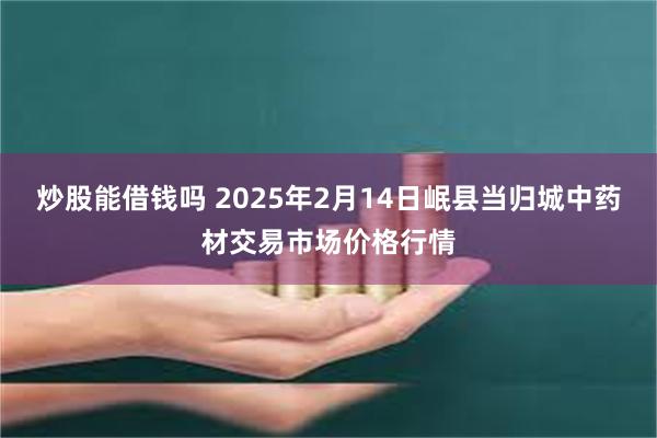 炒股能借钱吗 2025年2月14日岷县当归城中药材交易市场价格行情