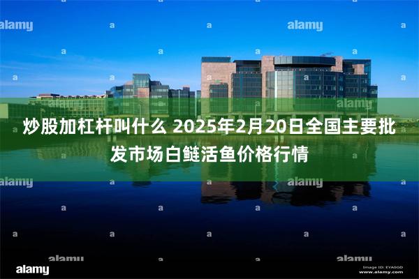 炒股加杠杆叫什么 2025年2月20日全国主要批发市场白鲢活鱼价格行情