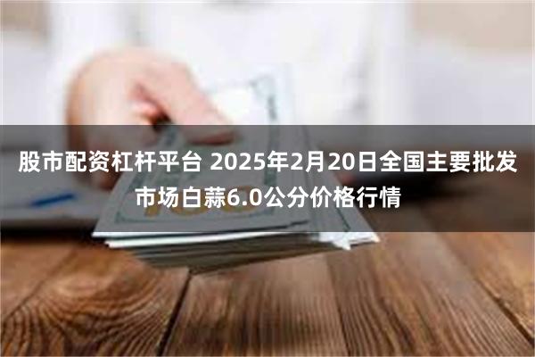 股市配资杠杆平台 2025年2月20日全国主要批发市场白蒜6.0公分价格行情